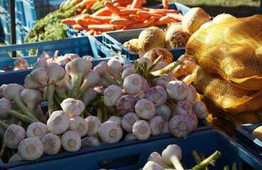 market-4077579-1920-9fd04da514f14b48875dec8670846a95